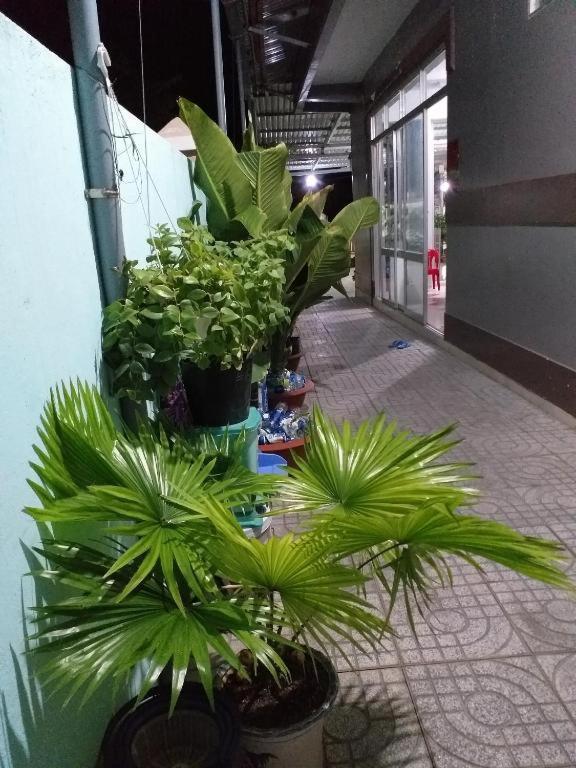 Nha Nghi Nguyen Anh Hotel Long Hai Bagian luar foto