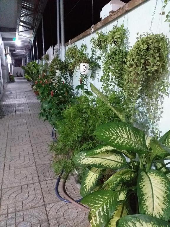 Nha Nghi Nguyen Anh Hotel Long Hai Bagian luar foto