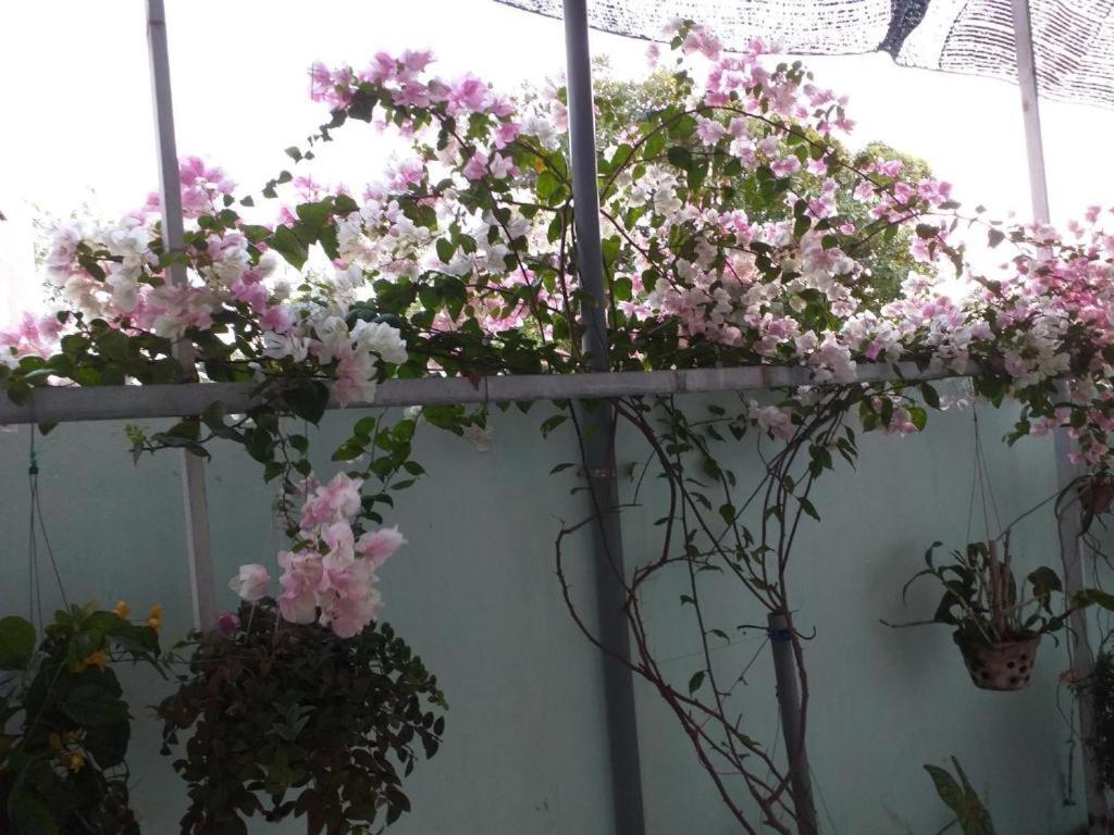Nha Nghi Nguyen Anh Hotel Long Hai Bagian luar foto